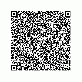 vCard 79581939385