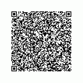 vCard 79581939390