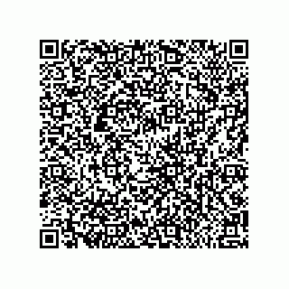 vCard 79581939392