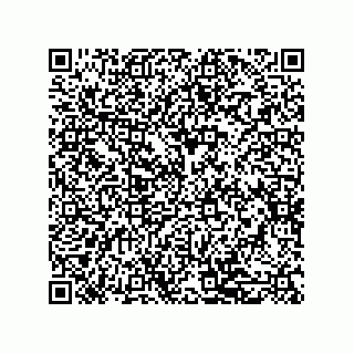 vCard 79581939393