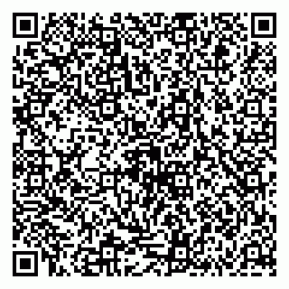 vCard 79581950517