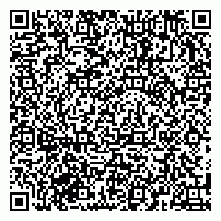 vCard 79583890381