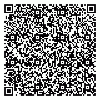 vCard 79584020003