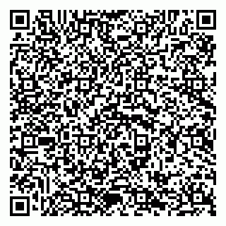 vCard 79584044031
