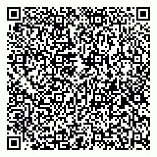 vCard 79584080013