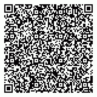 vCard 79584080131
