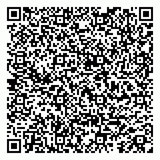 vCard 79584080299