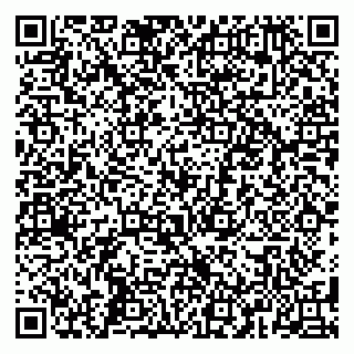 vCard 79584080300