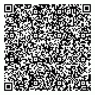 vCard 79584080318