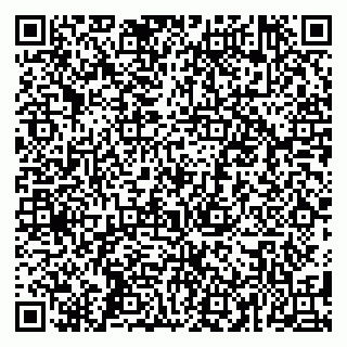 vCard 79584080373