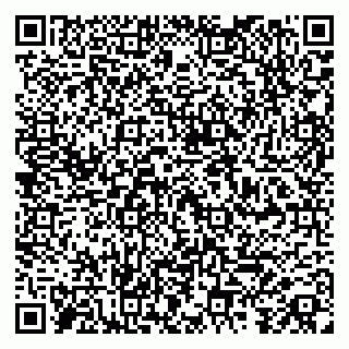 vCard 79584080374