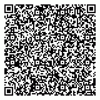 vCard 79584080384