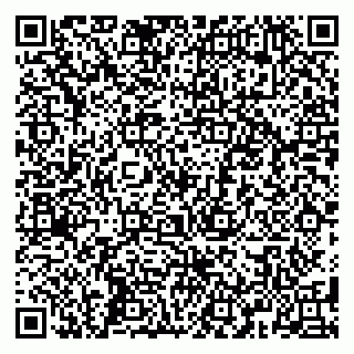 vCard 79584080385