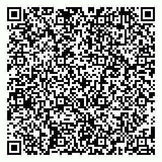 vCard 79584080389