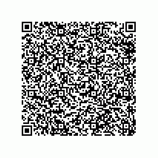 vCard 79584100299