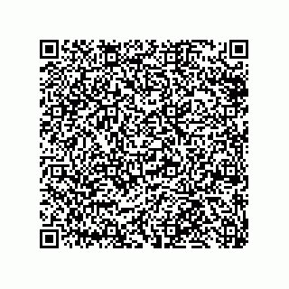 vCard 79584100339