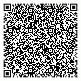 vCard 79584435153