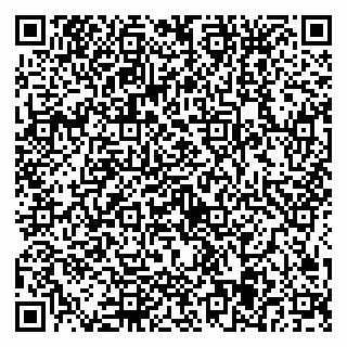 vCard 79584435211
