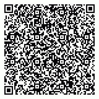 vCard 79584435217