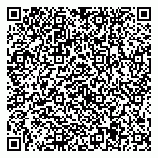 vCard 79584435229