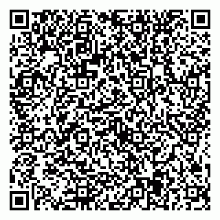 vCard 79584435265