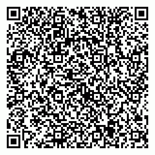 vCard 79584435273