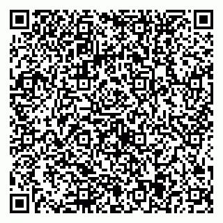 vCard 79584435281