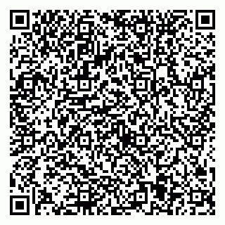 vCard 79584435328