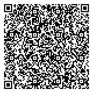 vCard 79584435329