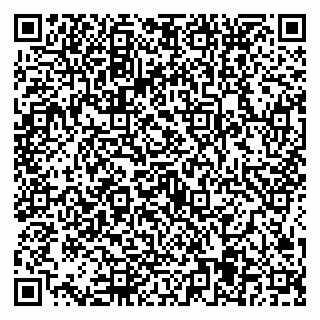 vCard 79584435389