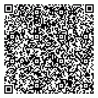 vCard 79584435392