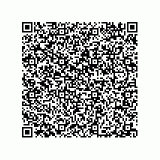 vCard 79584485381