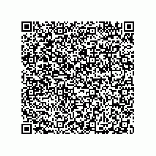 vCard 79584485384