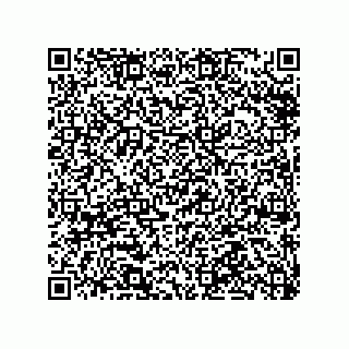 vCard 79584485398