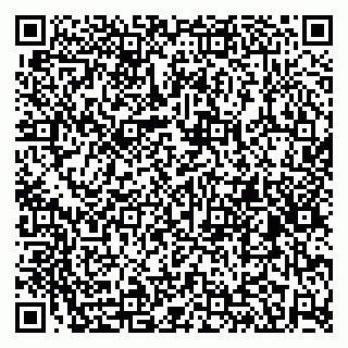 vCard 79584499008