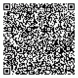 vCard 79584499072