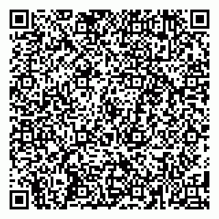 vCard 79584499331
