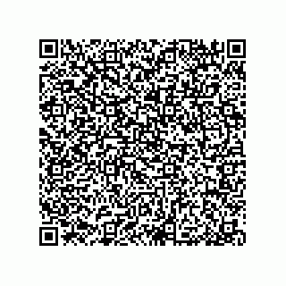vCard 79584596033