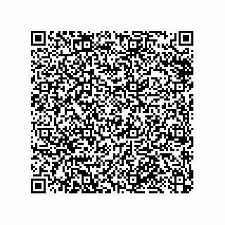 vCard 79584596353