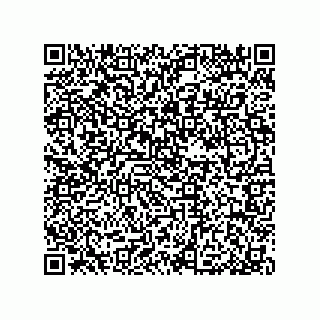 vCard 79584596387