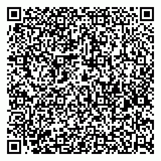 vCard 79584990013