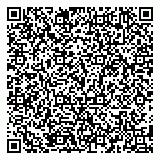 vCard 79584990387