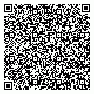 vCard 79585000213