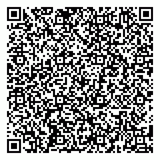 vCard 79585000296