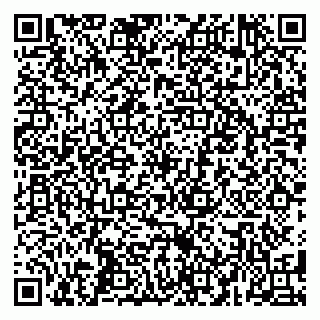 vCard 79585000313