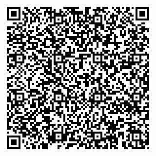 vCard 79585000317