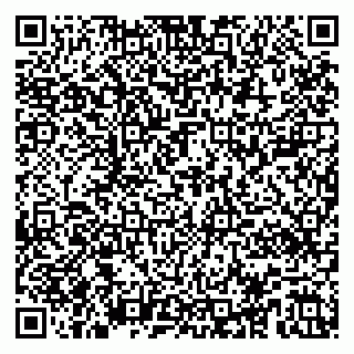 vCard 79585000321