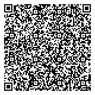 vCard 79585000331