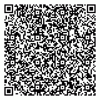 vCard 79585100000