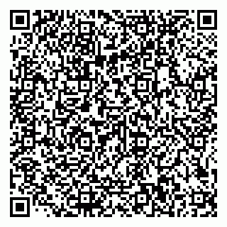 vCard 79585100003
